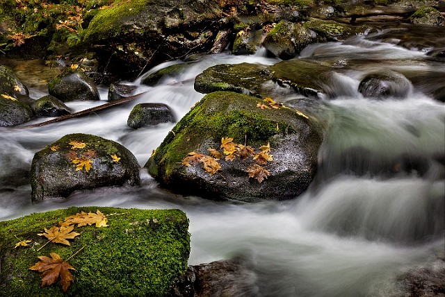 Multnomah Creek 16-6526.jpg